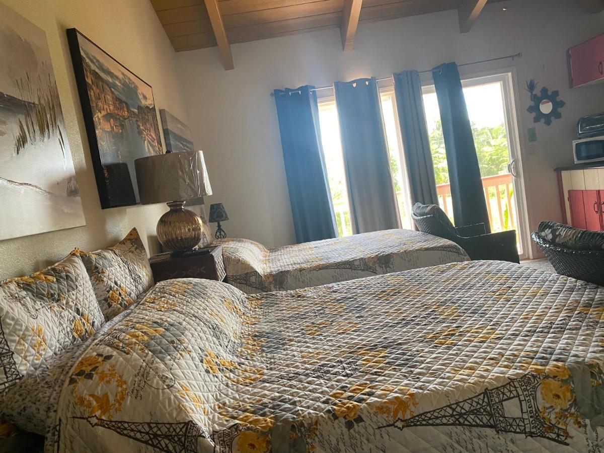 Nice Studio W/ Ac Near Kehena Beach And Lava Fields Exterior foto